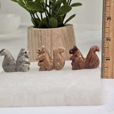 Soapstone Squirrel Carving from Peru - You Choose Color all variants with ruler for size reference