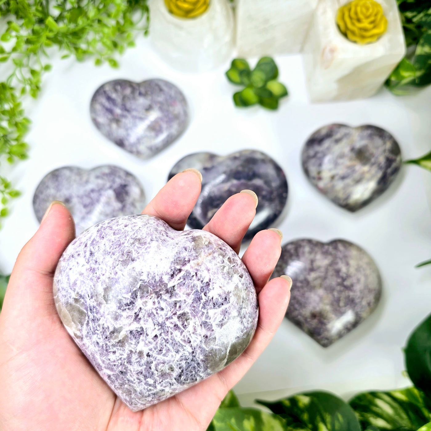 Lepidolite Polished Crystal Heart - You Choose - variant 3 in hand with other variants in the background with props and plants