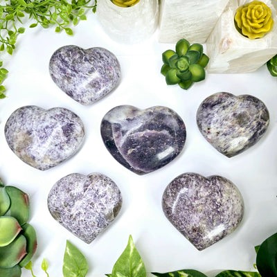 Lepidolite Polished Crystal Heart - You Choose all variants with props and plants top view