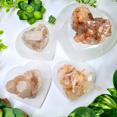 Tangerine Quartz Polished Crystal Heart - You Choose all variants top view on selenite coasters with plants surrounding them