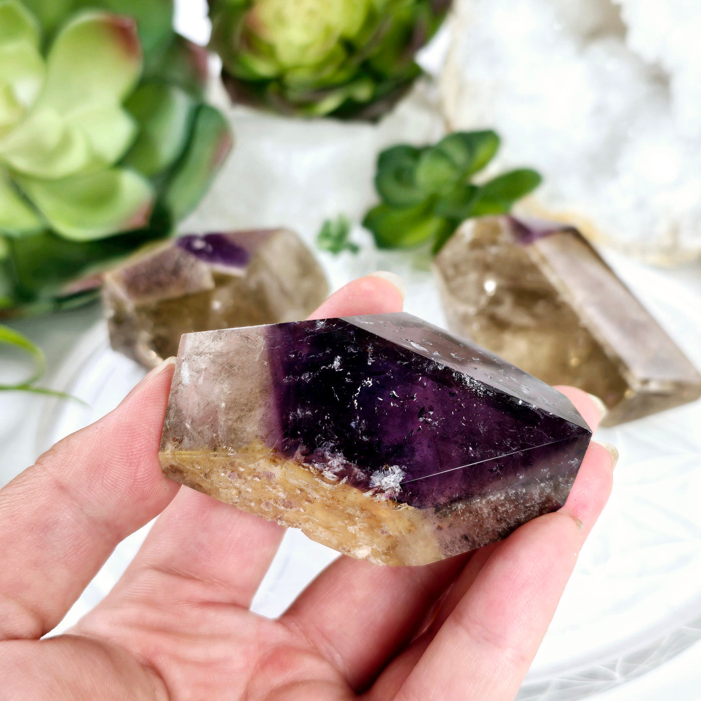 Ametrine Polished Freeform Crystal - Smokey Citrine With Amethyst - You Choose - variant 3 in hand for size reference with other variants in the background with props and plants