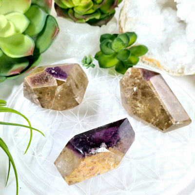 Ametrine Polished Freeform Crystal - Smokey Citrine With Amethyst - You Choose all variants on flower of life platter with props and plants in the background