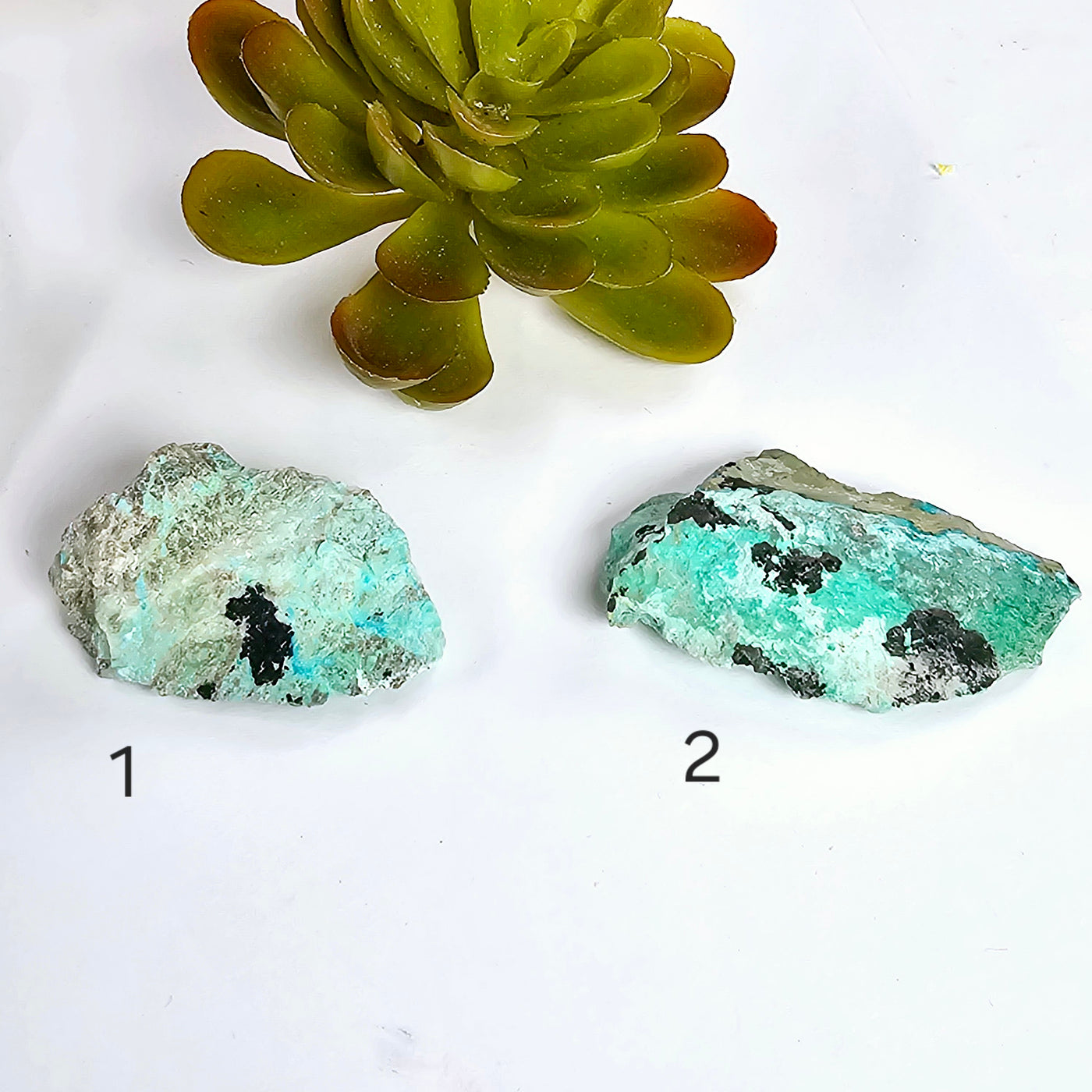 Rough Turquoise with Chrysocolla Crystal - You Choose variants 1 and 2 labeled