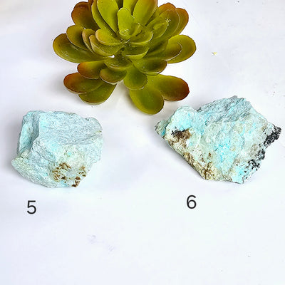 Rough Turquoise with Chrysocolla Crystal - You Choose variants 5 and 6 labeled