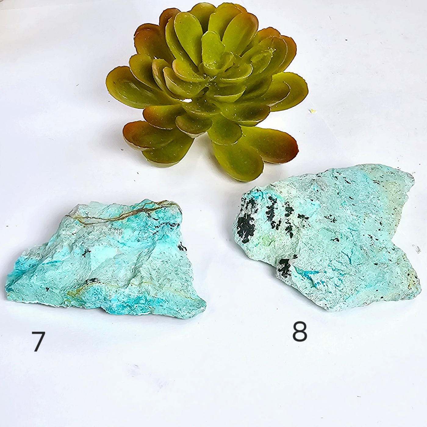 Rough Turquoise with Chrysocolla Crystal - You Choose variants 7 and 8 labeled