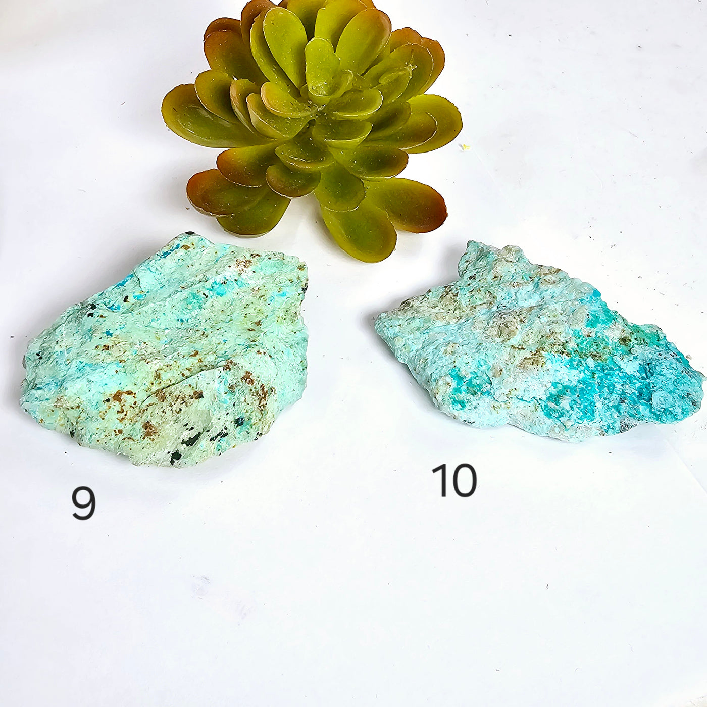 Rough Turquoise with Chrysocolla Crystal - You Choose variants 9 and 10 labeled