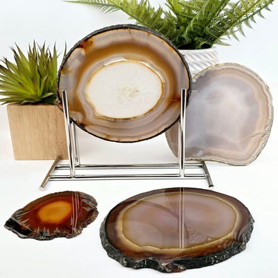 Iris Agate Crystal Slice - You Choose - variant 4 on stand with other variants in background with props and plants