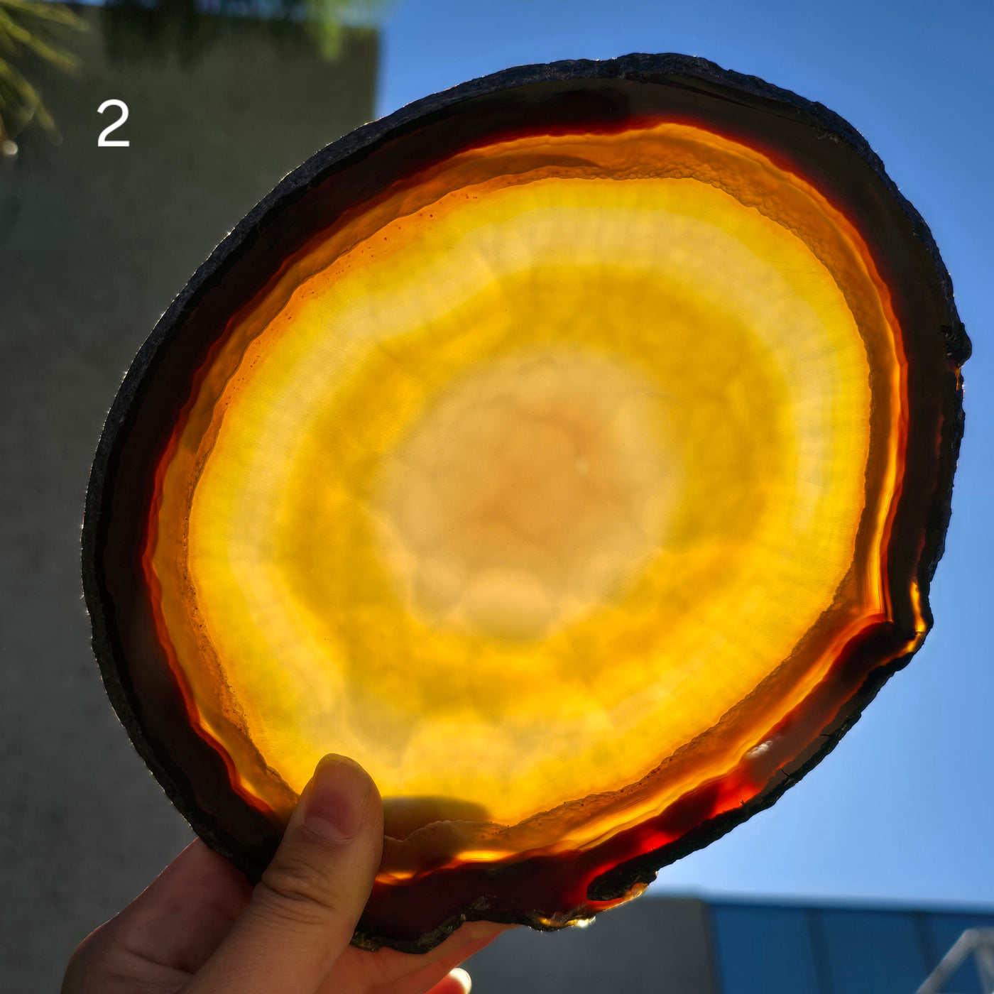 Iris Agate Crystal Slice - You Choose variant 2 backlit by sun