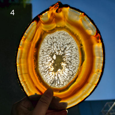 Iris Agate Crystal Slice - You Choose variant 4 backlit by sun