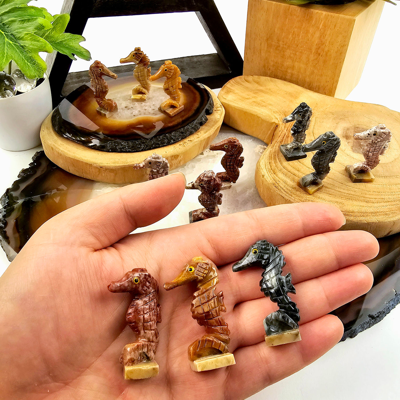 Soapstone Seahorse Carving from Peru - You Choose Color all variants in hand with others in background on stone and wood platters with props and plants in the background