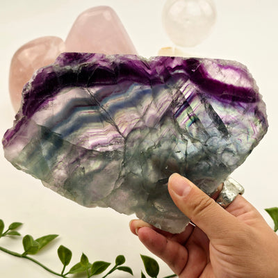 Rainbow Fluorite Crystal Slab - One-of-a-Kind #2 - in hand for size reference with props and plants in the background