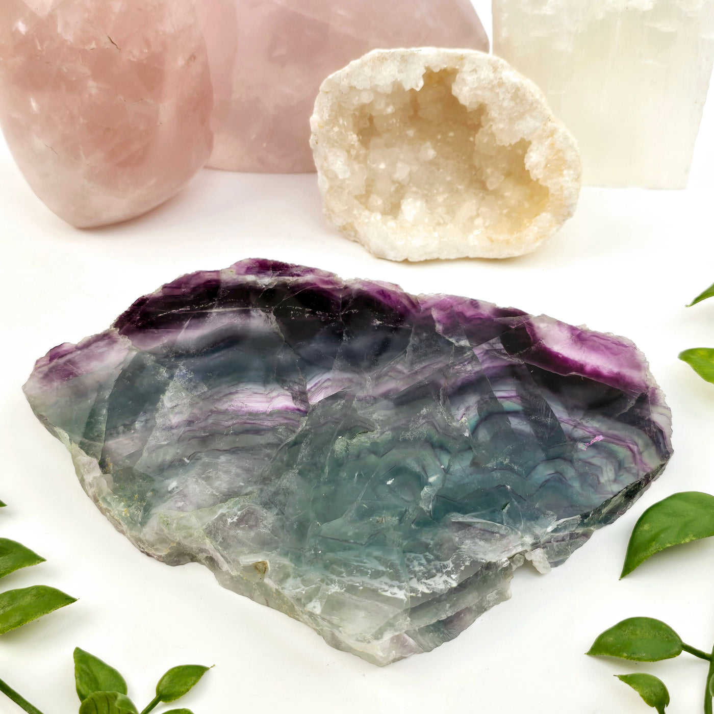 Rainbow Fluorite Crystal Slab - One-of-a-Kind #2 side view with props and plants in the background