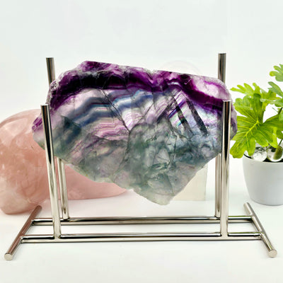 Rainbow Fluorite Crystal Slab - One-of-a-Kind #2 on stand with props and plants in the background