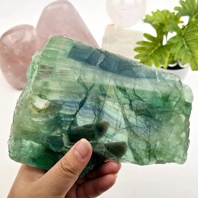 Green Fluorite Crystal Slab - One-of-a-Kind in hand for size reference with props and plants in the background