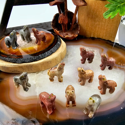 Soapstone Dog Carving from Peru - You Choose Color all variants arranged on stone platter with props and plants in the background