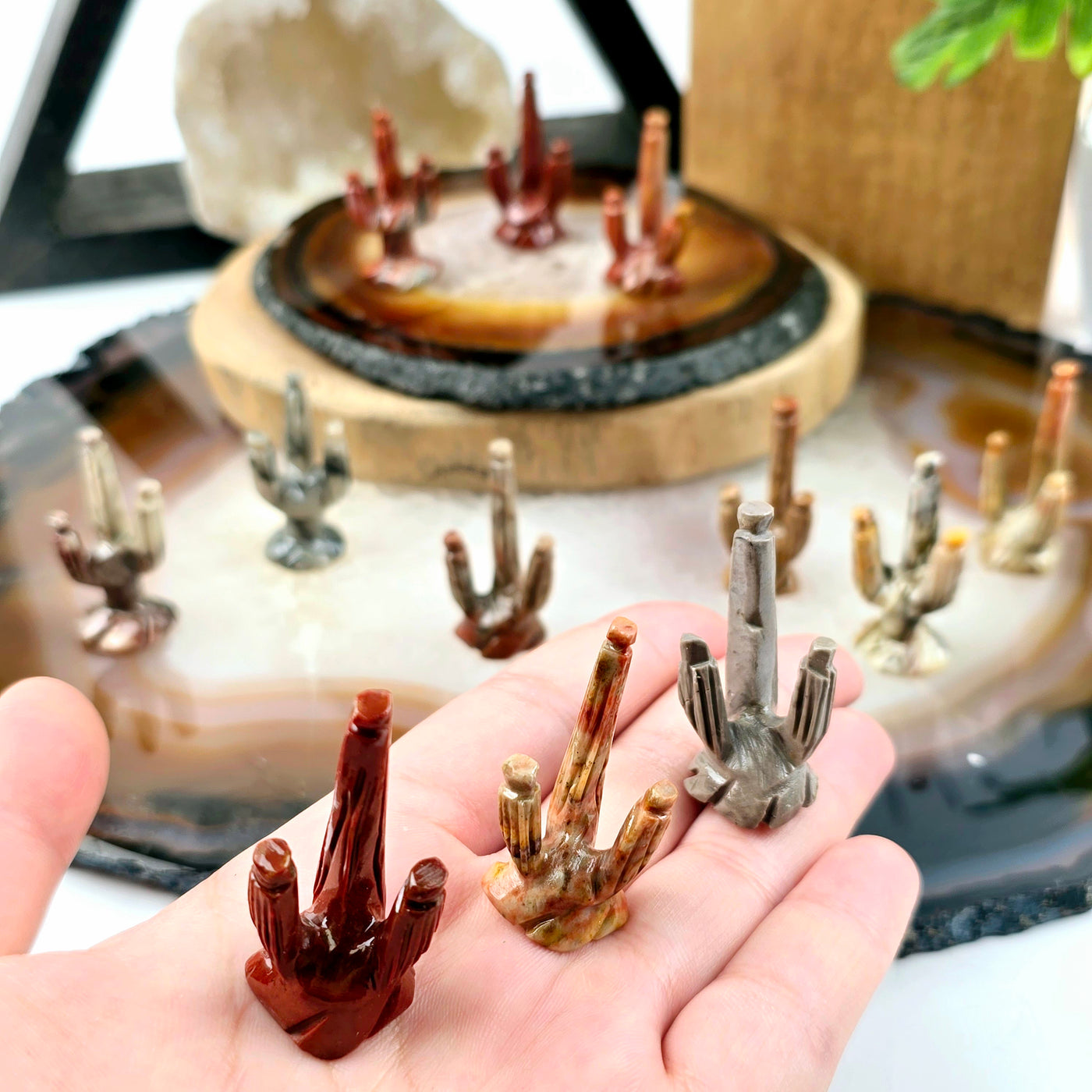 Soapstone Cactus Carving from Peru - You Choose Color - all variants in hand for size reference with other variants in background on stone platters with props and plants in the background