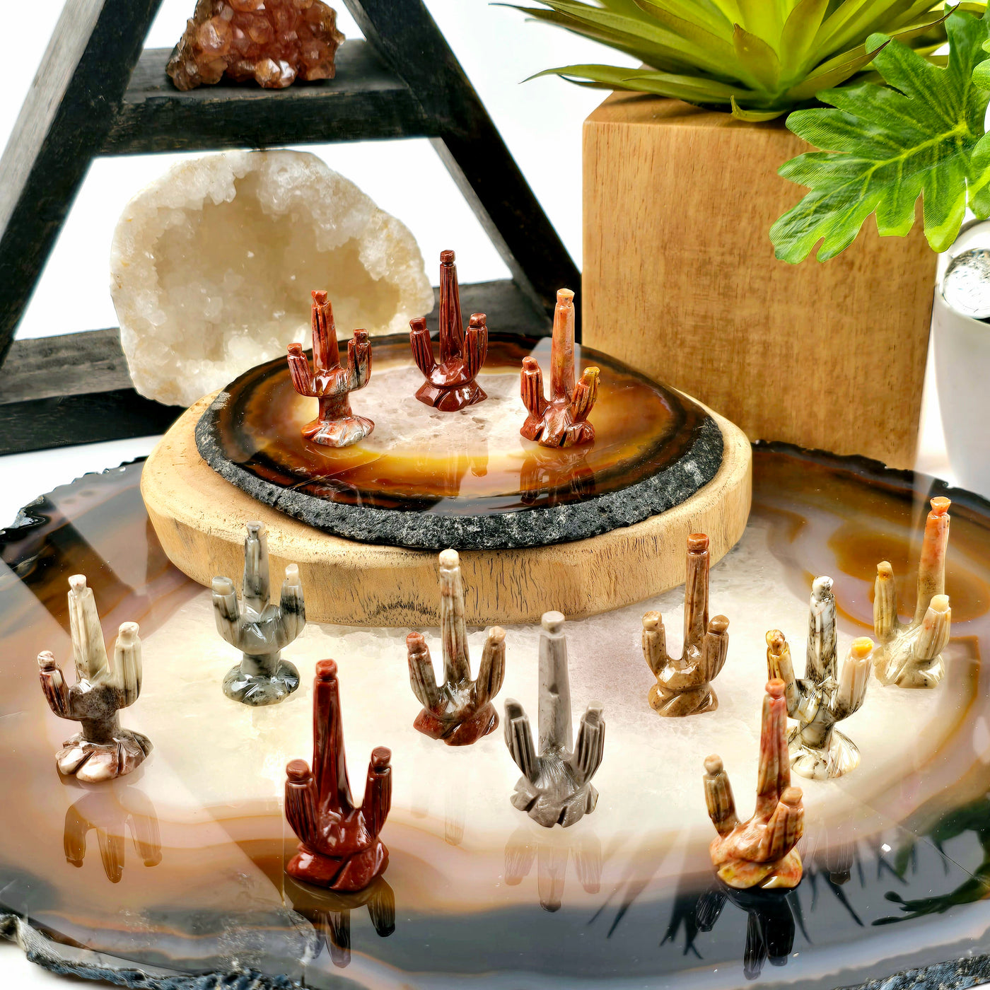 Soapstone Cactus Carving from Peru - You Choose Color - all variants on stone platters with props and plants in the background