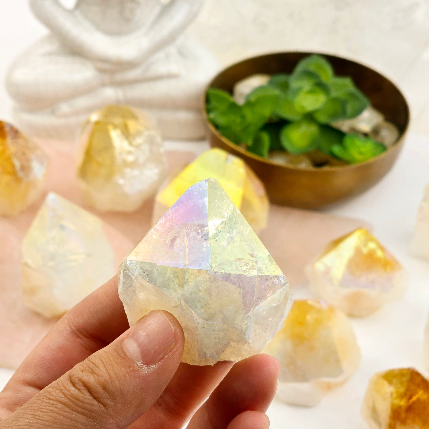 Angel Aura Citrine Semi Polished Crystal Point - By Weight in hand for size reference with other points in the background with props and plants