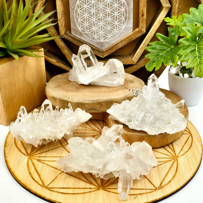 Crystal Quartz Cluster - AA Grade - You Choose #2 all variants displayed on wooden platters to show clarity with props and plants in the background