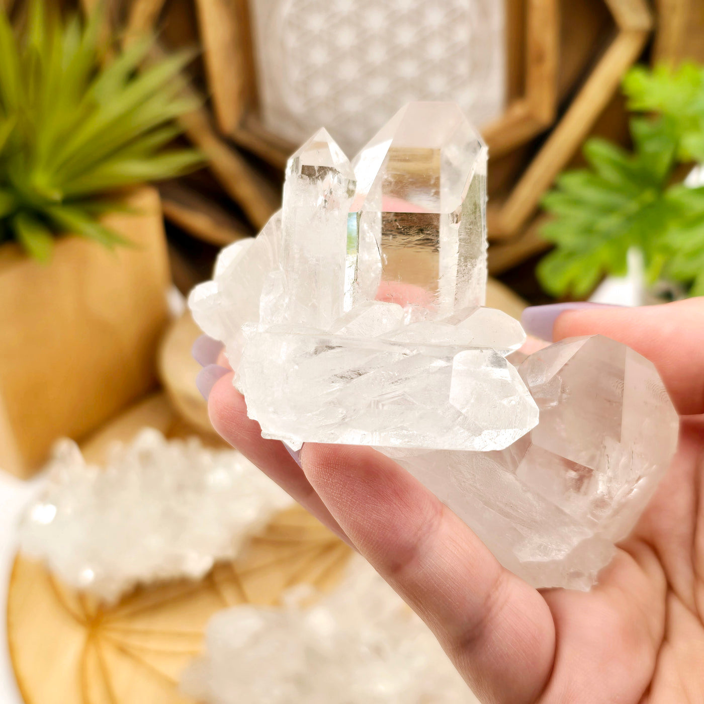 Crystal Quartz Cluster - AA Grade - You Choose #2 variant A in hand for size reference with other variants in the background with props and plants