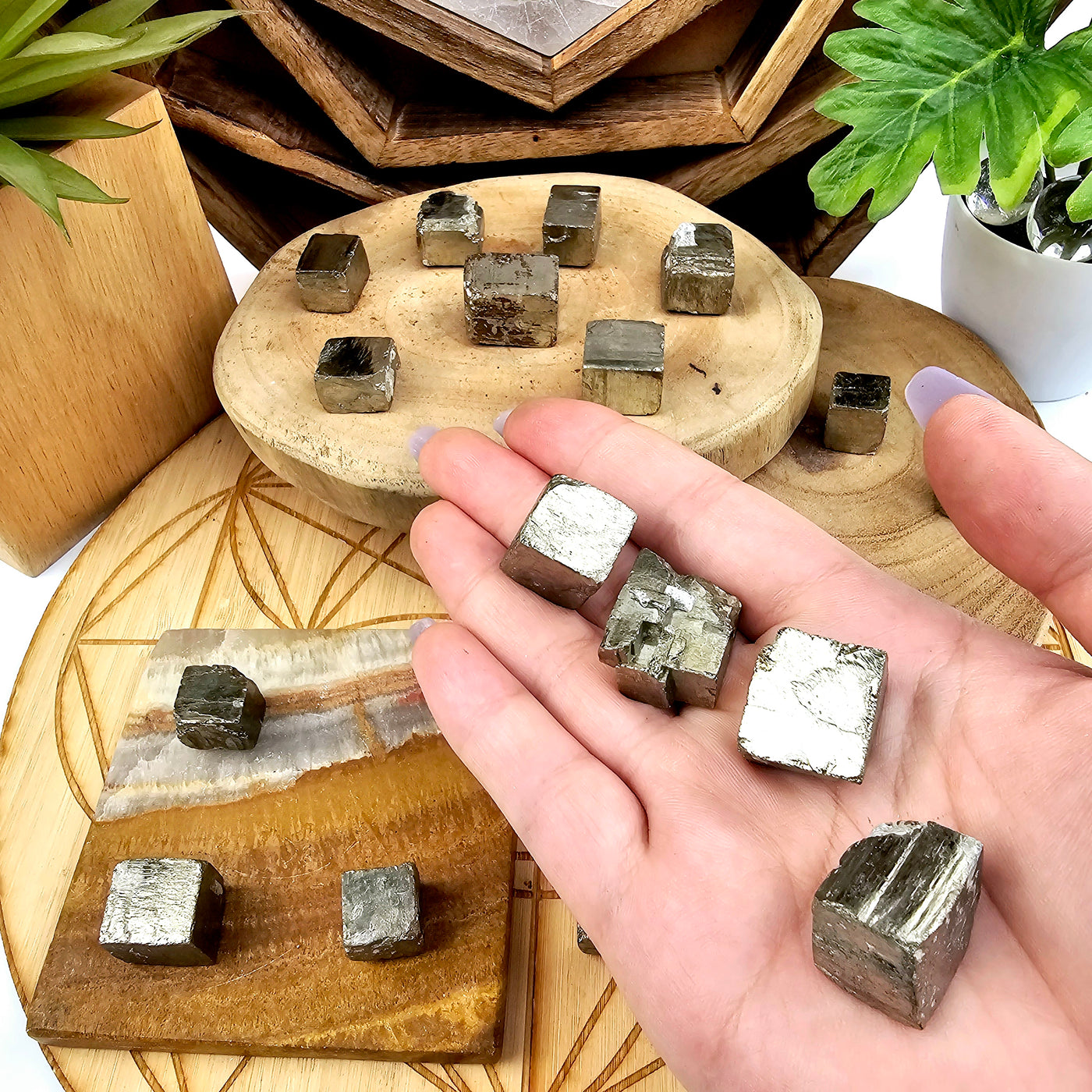 Pyrite Crystal Cube - You Choose #2 four variants in hand with other variants on wooden and stone platters with props and plants in the background