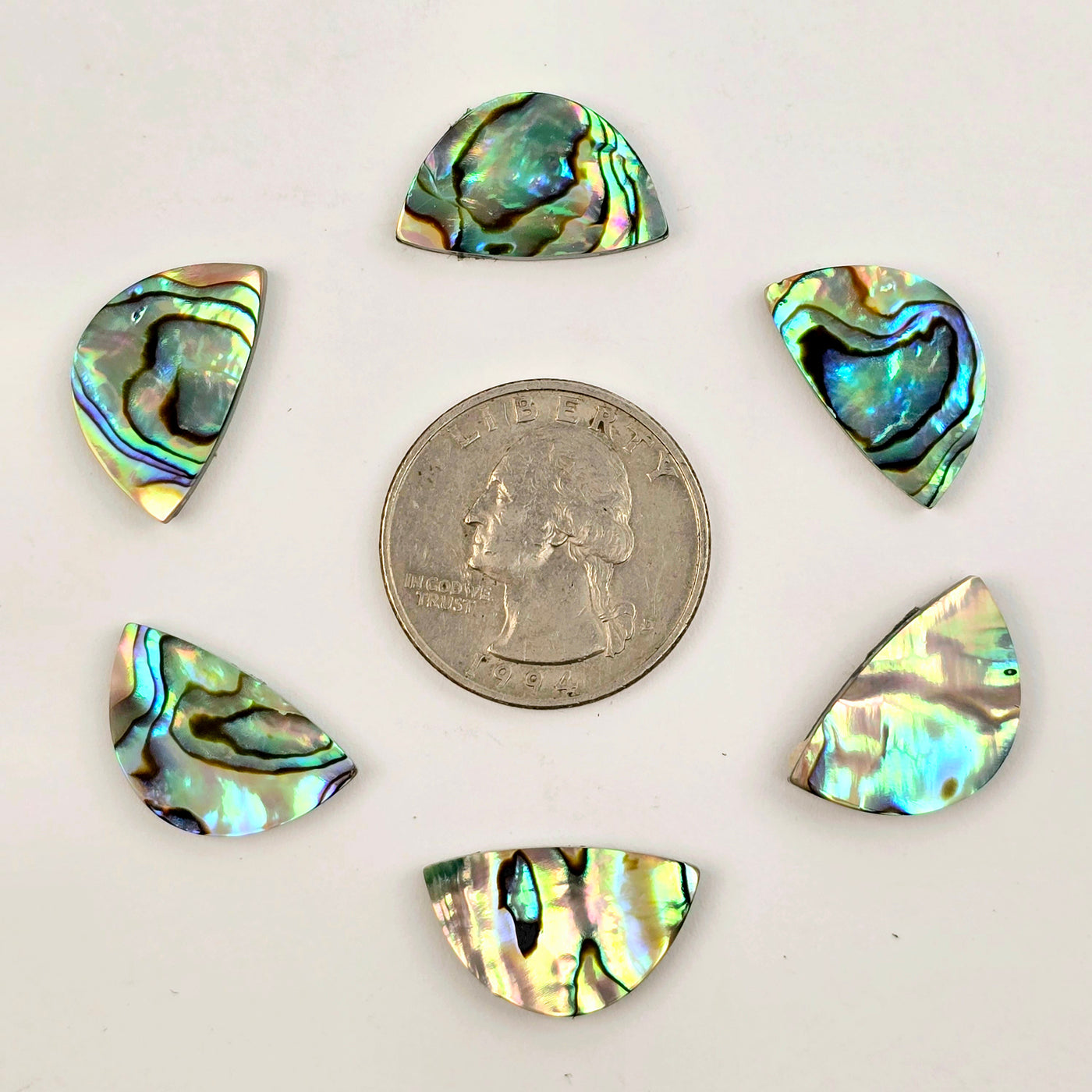 Abalone Shell Scale Cabochon - AAA Grade - 20mm