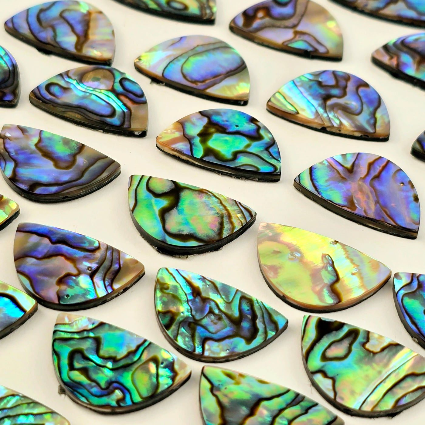 Abalone Shell Scale Cabochon - AAA Grade - 20mm