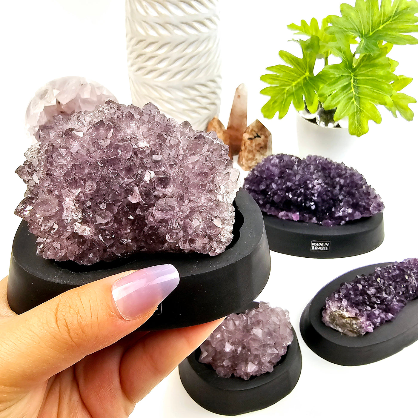 Amethyst Crystal Cluster on Wooden Base from Uruguay - You Choose variant 4 in hand for size reference with other variants in the background with props and plants