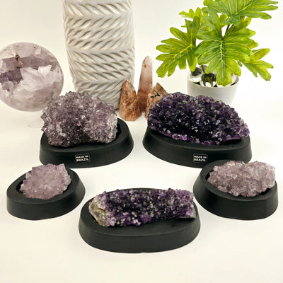 Amethyst Crystal Cluster on Wooden Base from Uruguay - You Choose all variants with props and plants in the background