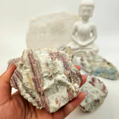 Pink Tourmaline Crystals on Aquamarine Matrix - You Choose #2 - variant E in hand for size reference with other variants in the background with props