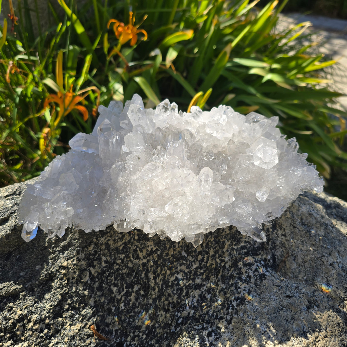 Crystal Quartz Cluster - AA Grade #2 on stone with plants in the background front view