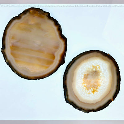 Agate Slice Set - AA Grade - Ten Crystal Slices two slices on light table with ruler for size reference