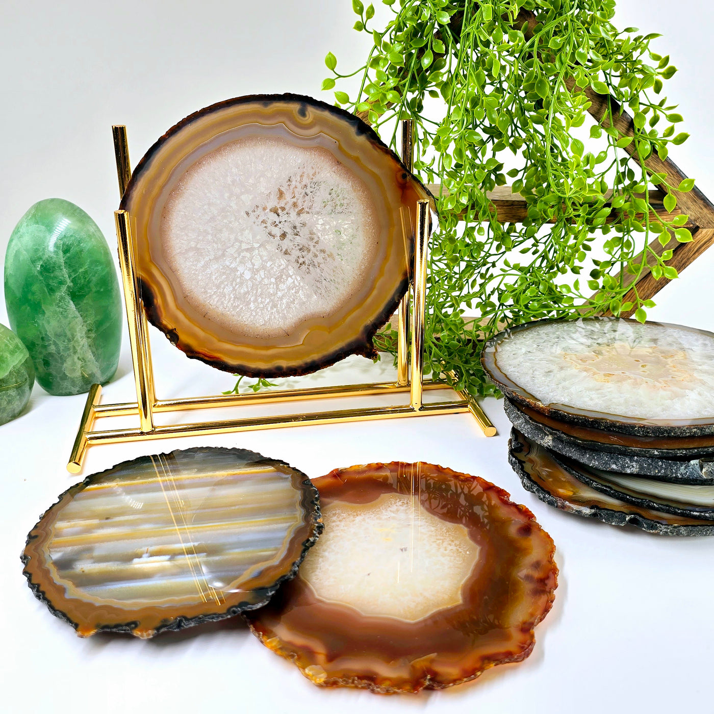 Agate Slice Set - AA Grade - Ten Crystal Slices one on stand, two on table, the rest stacked to the side with plants and props in the background