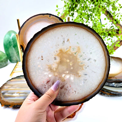 Agate Slice Set - AA Grade - Ten Crystal Slices - one in hand for size reference with others in the background with props and plants