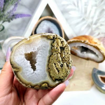 Agate Geode Half - Large Natural Crystal Geode - You Choose #1 - variant 5 in hand with other variants in the background with props and plants