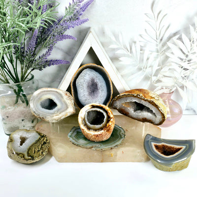 Agate Geode Half - Large Natural Crystal Geode - You Choose #1 - all variants arranged on stone platter with props and plants in the background