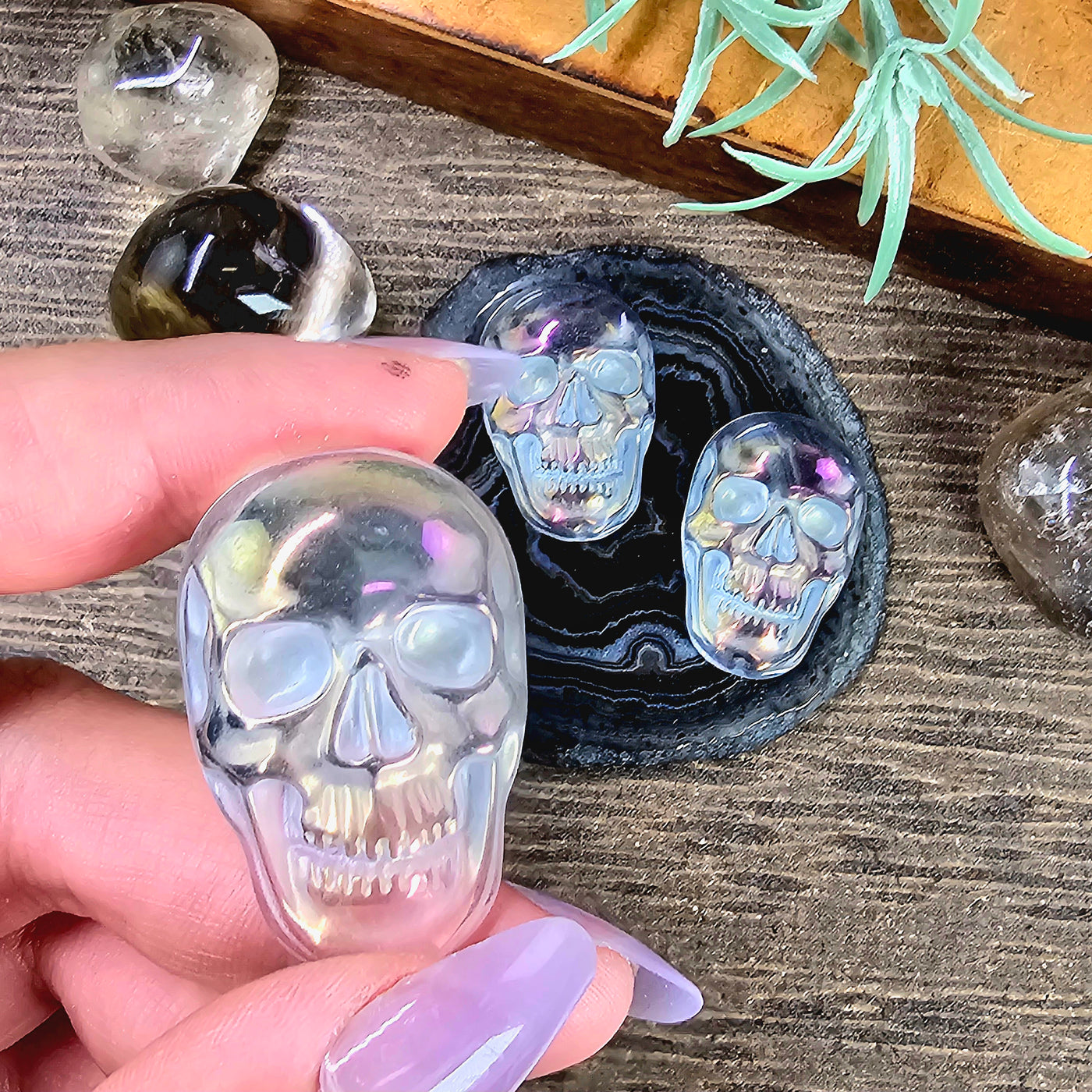 Angel Aura Crystal Quartz Skull Cabochon - one in hand for size reference with others on agate slice on wood table with stones and plants