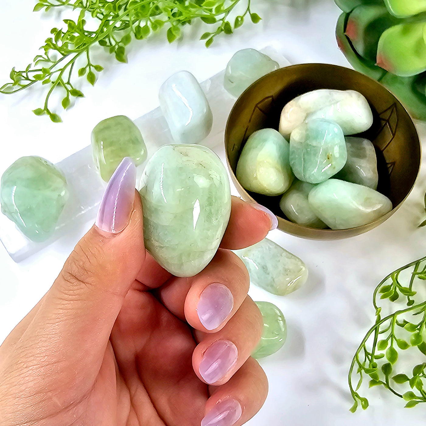 Aquamarine Large Tumbled Stone - By the Piece one in hand for size reference with others in metal bowl and on selenite charging rod with plants surrounding them