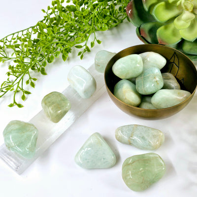 Aquamarine Large Tumbled Stone - By the Piece three on table, four on selenite charging rod, several in a bowl with plants in the background