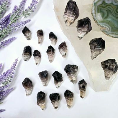 Chevron Amethyst Point - By Weight - all weight variants on white background and crystal platter with props and plants