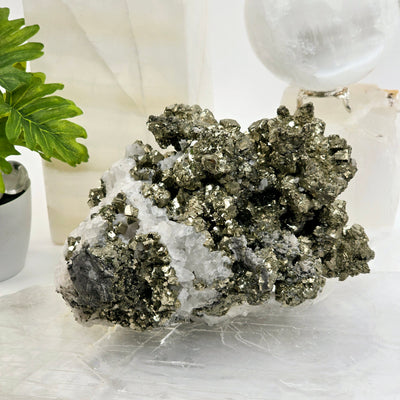 Pyrite on Crystal Quartz Cluster #2 - High Grade - front view with props and plants in the background