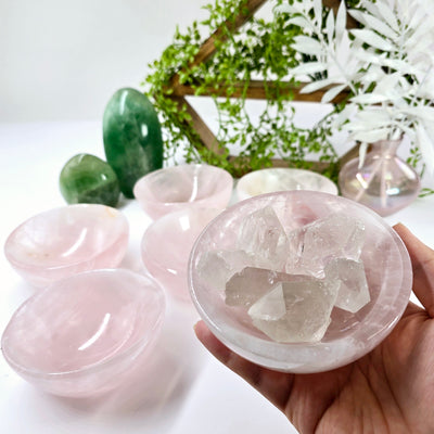 Rose Quartz Polished Crystal Bowl - one bowl in hand with quartz in it for size reference with other bowls in background with props and plants