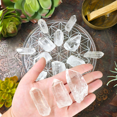 Crystal Quartz Natural Points - By Weight - all weight variants in hand for size reference with more points in the background on a flower of life grid with props and plants