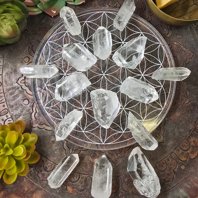 Crystal Quartz Natural Points - By Weight - all weight variants arranged in crystal grid on flower of life platter on copper plate with props and plants in the background