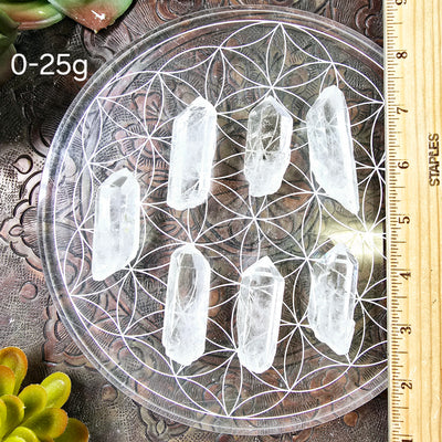 Crystal Quartz Natural Points - By Weight 0-25g variant labeled with ruler for size reference