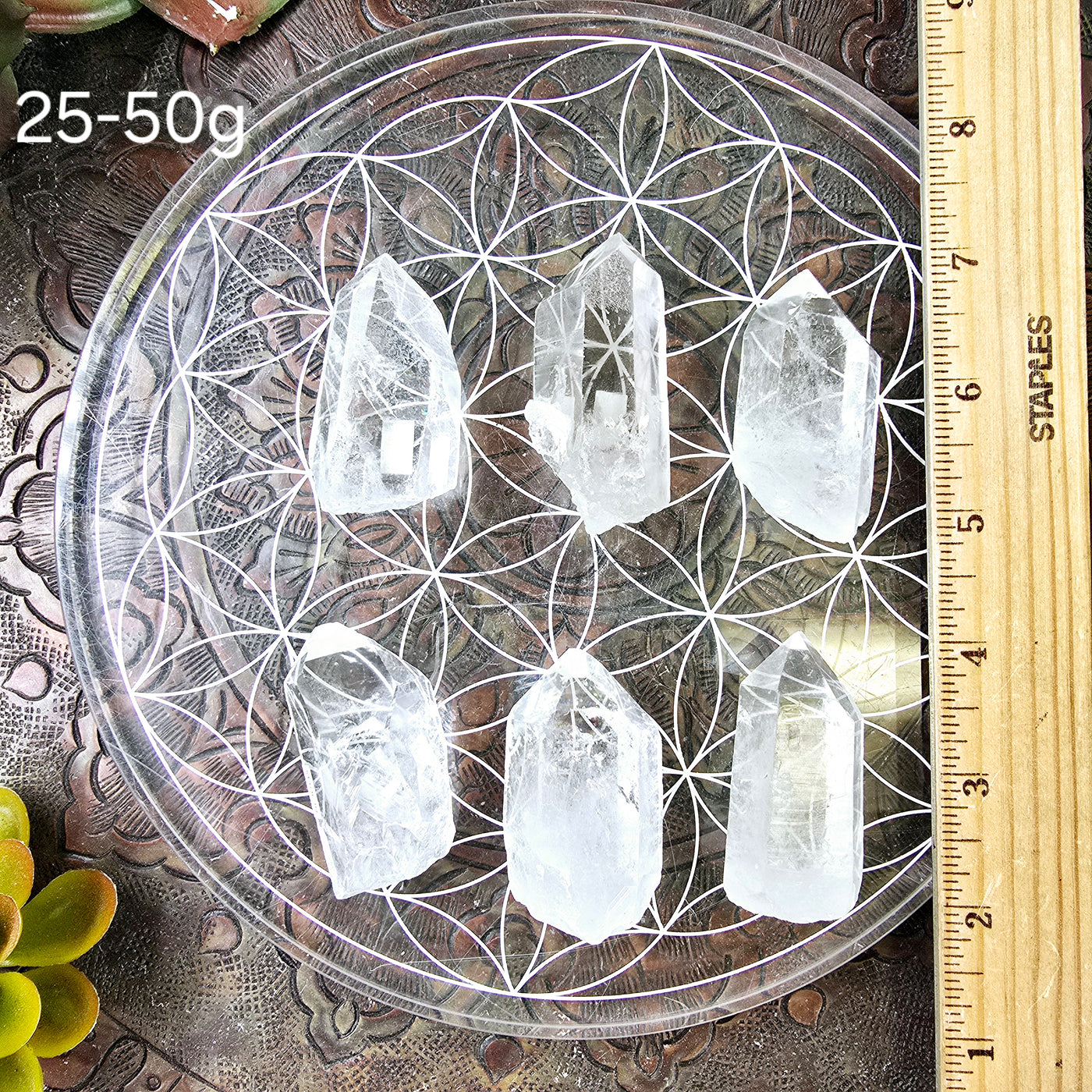 Crystal Quartz Natural Points - By Weight 25-50g variant labeled with ruler for size reference