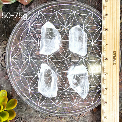 Crystal Quartz Natural Points - By Weight 50-75g variant labeled with ruler for size reference