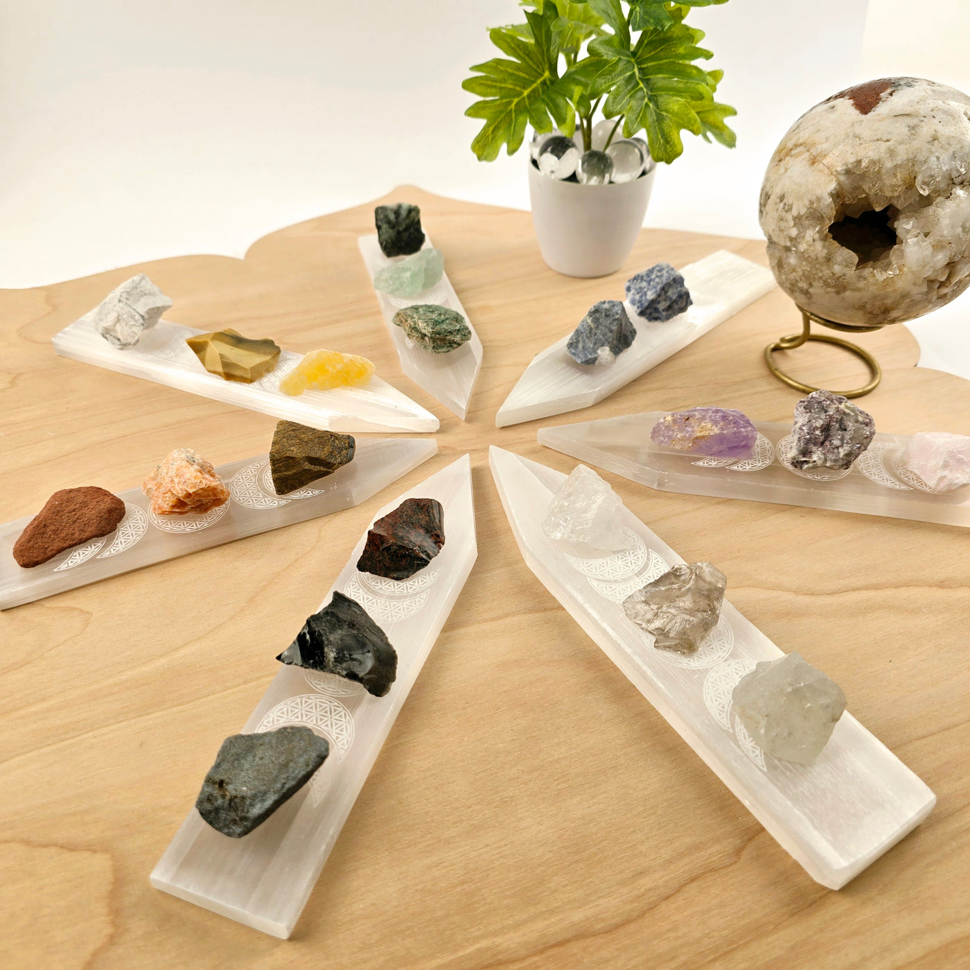 Selenite Charging Plate Engraved with Flower of Life Moon Phase Design -  8" Pointed Stick - seven charging plates arranged in circle with assorted rough crystals on top on wooden surface with props and plants on it