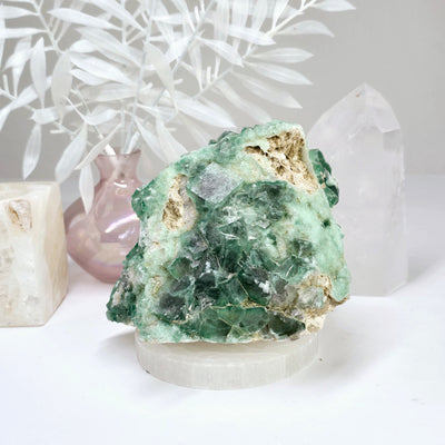 Cubic Fluorite Crystals on Matrix - Rare Find - front view on stone platter with plants and props in the background