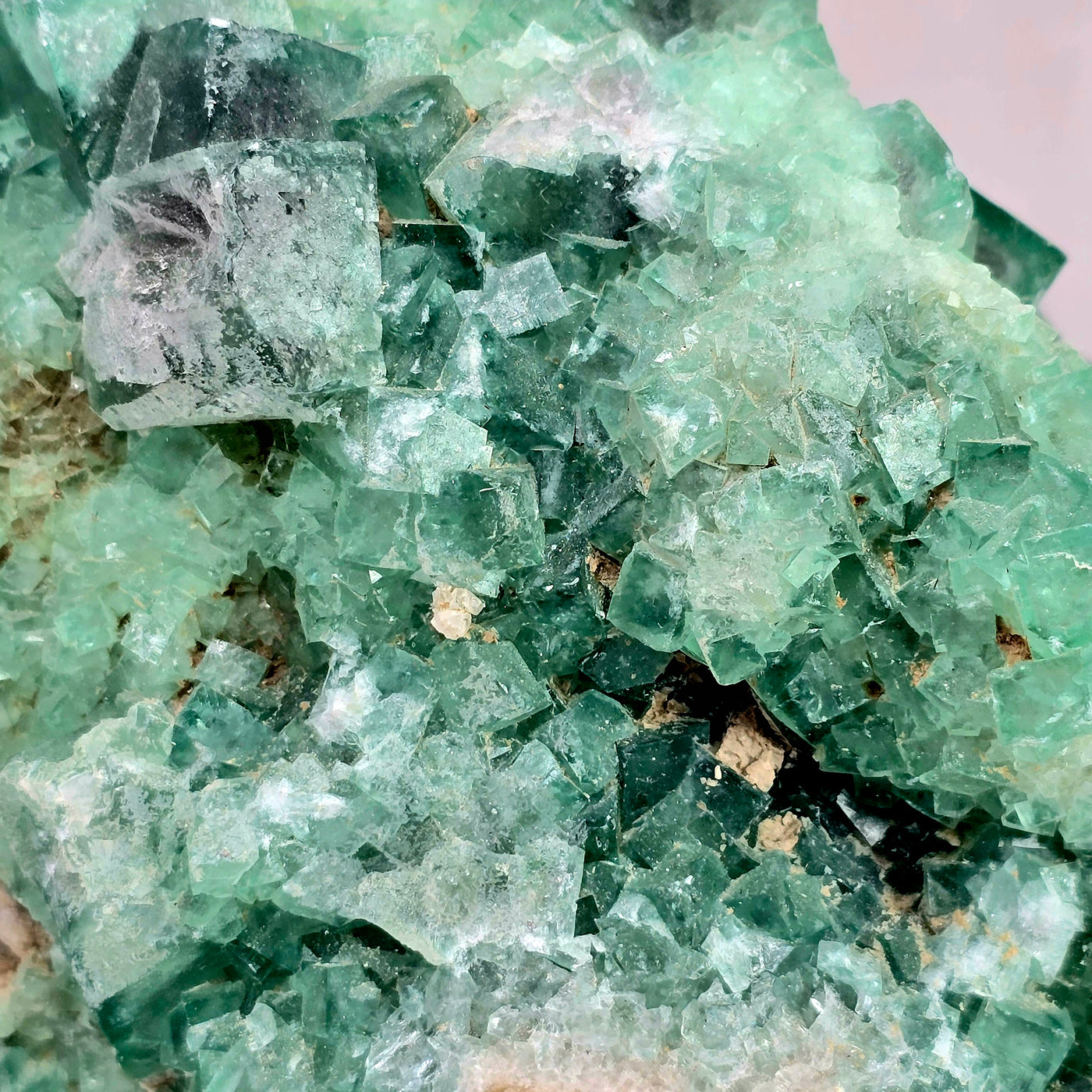 Cubic Fluorite Crystals on Matrix - Rare Find closeup for detail